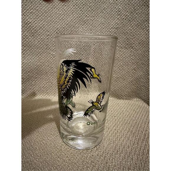 Vintage Hazel Atlas Wild Fowl Quail Bird Glass Tumbler 5” Retro MCM - Picture 2 of 8